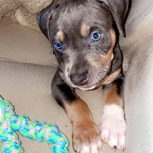 Meet your Posher, Erica